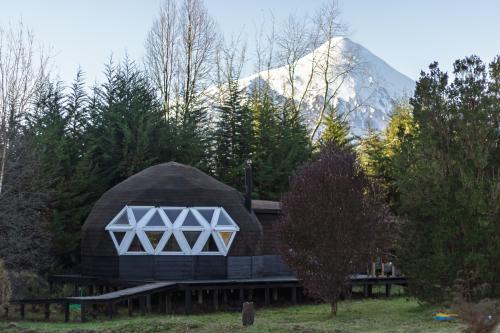 300portada_d_v_puntiagudo